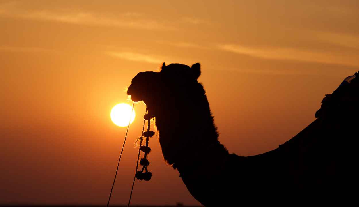 Luxury Desert Camp Package